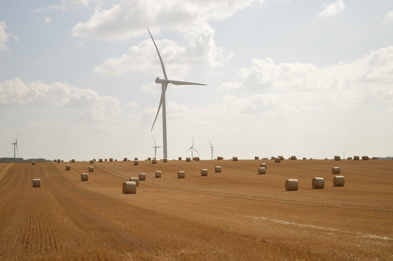 Faut-il privilégier la croissance rapide ou la rentabilité durable ? découvrez comment allier rentabilité et durabilité pour assurer un succès économique responsable à long terme.