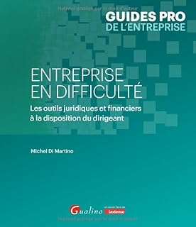 Entreprise en difficulté: Les outils juridiques et financiers à la disposition du dirigeant