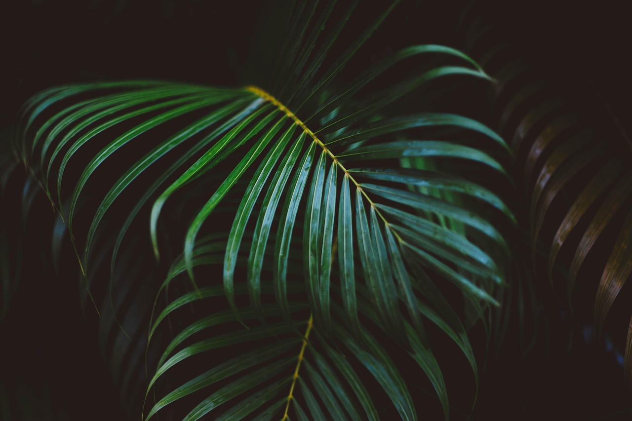 découvrez les stratégies efficaces pour stimuler la croissance organique de votre entreprise de manière naturelle et durable.