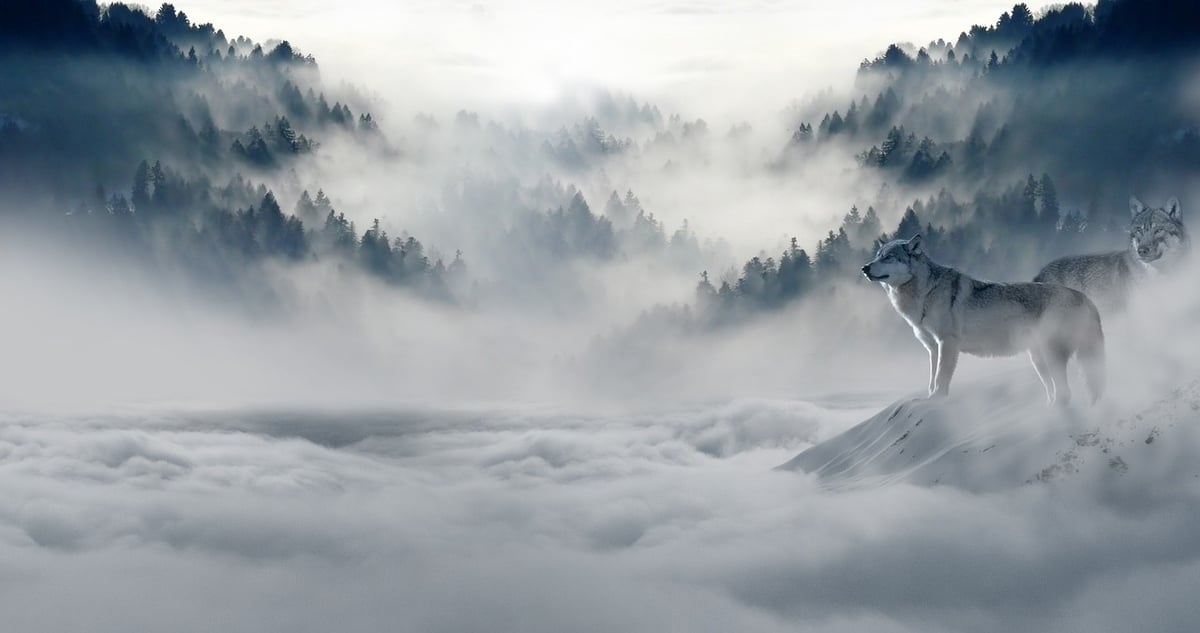 Pourquoi la solitude entrepreneuriale est-elle le défi le plus sous-estimé ?