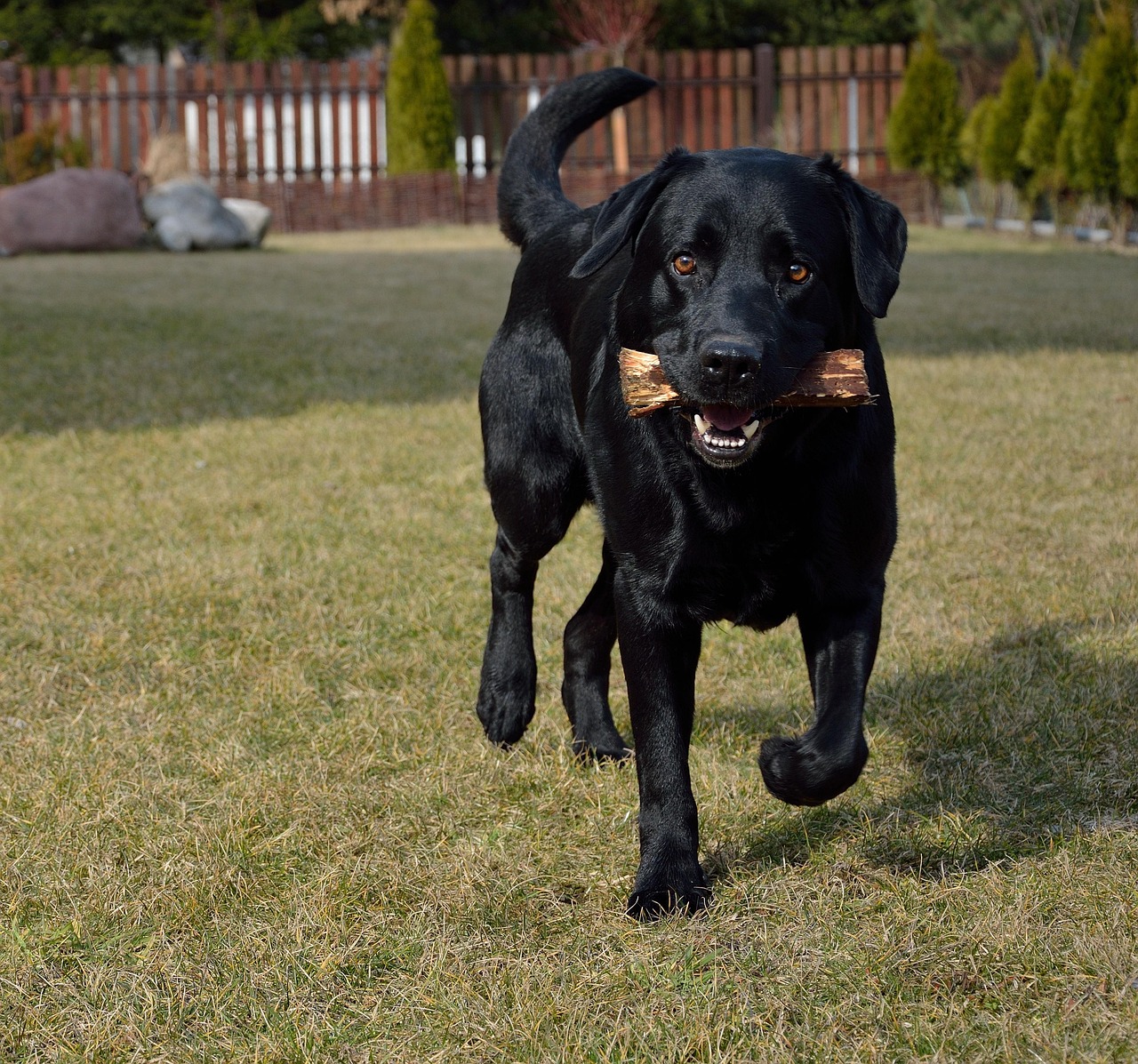 d&eacute;couvrez tout sur la contribution en capital, son importance dans le financement des entreprises et les implications pour les investisseurs.