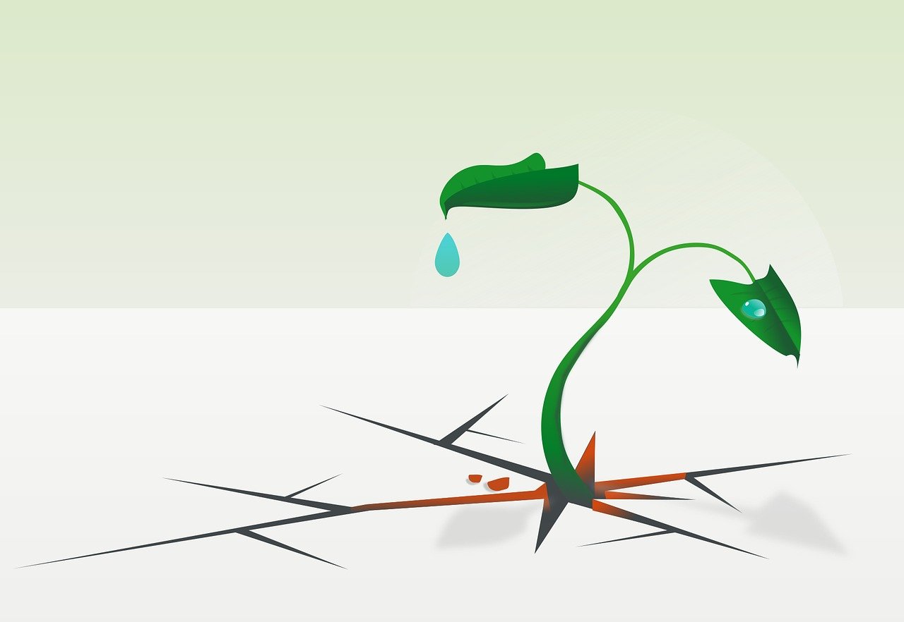 d&eacute;couvrez la r&eacute;silience, cette capacit&eacute; &agrave; surmonter les difficult&eacute;s et &agrave; se reconstruire face aux &eacute;preuves de la vie.